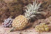 John Sherrin A Pineapple and Grapes on a mossy Bank (mk37) oil painting picture wholesale